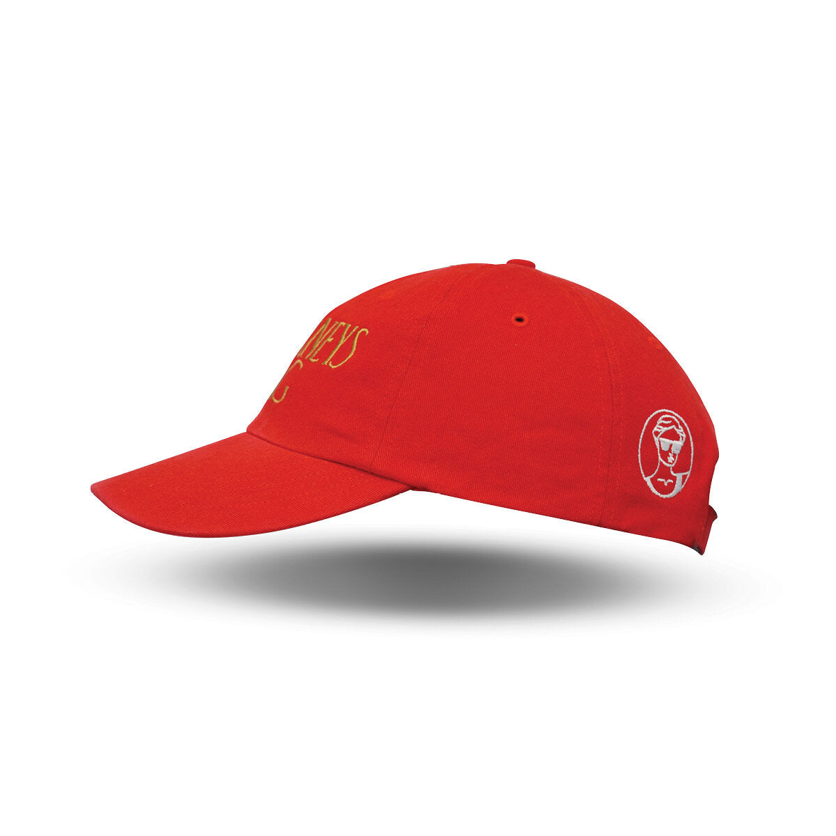 Modern Dad Hat